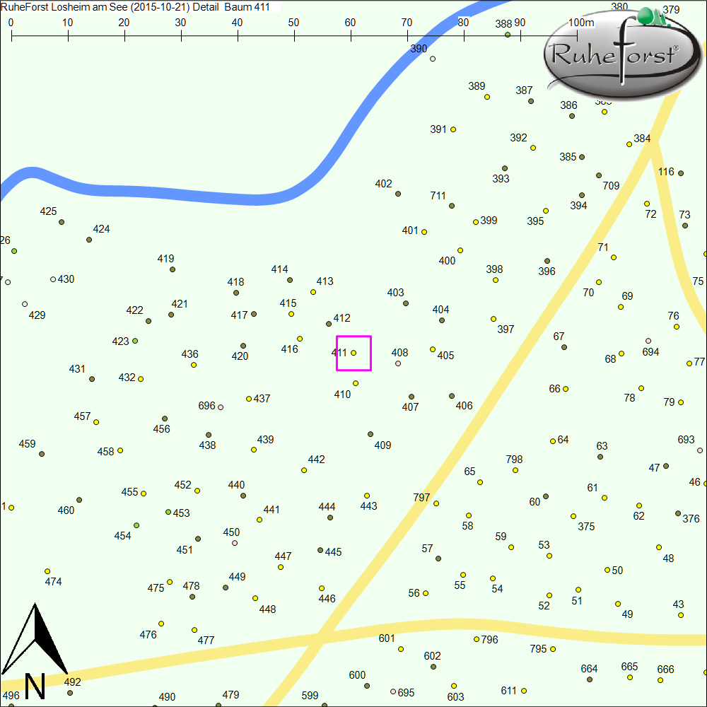 Detailkarte zu Baum 411
