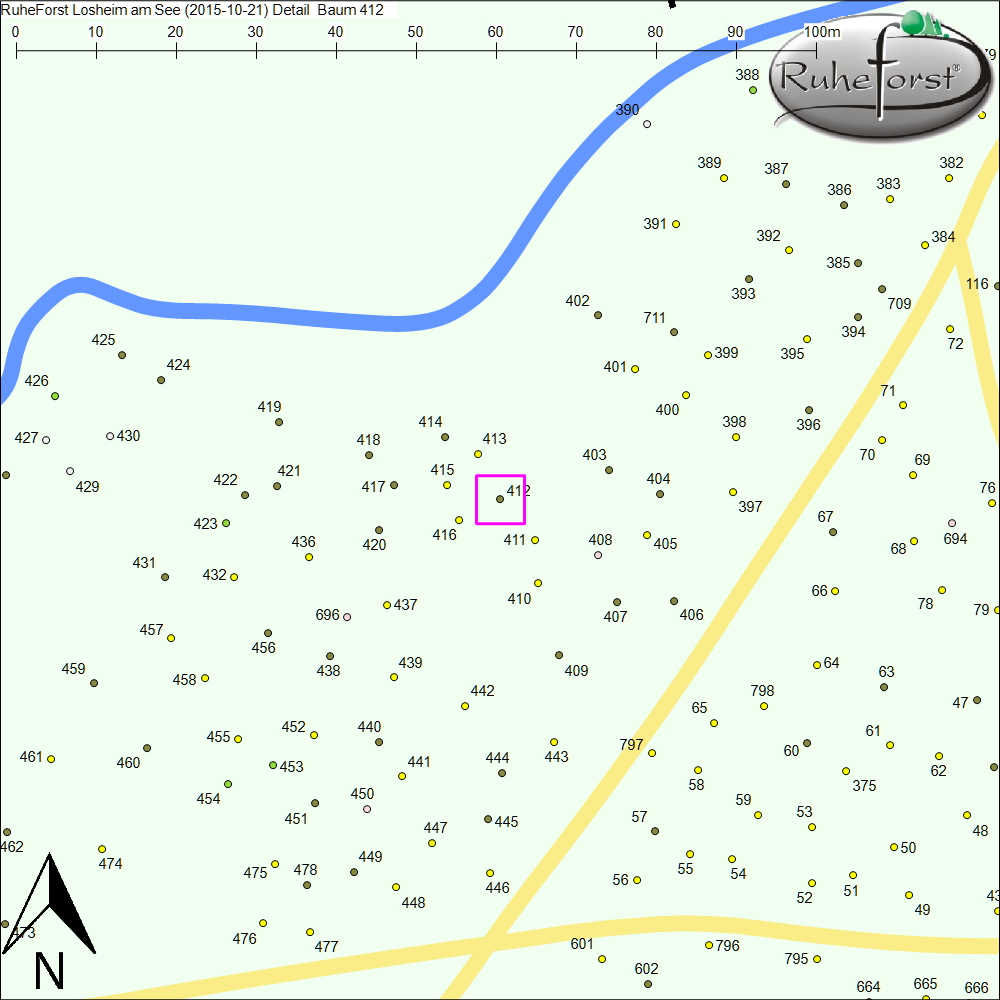 Detailkarte zu Baum 412