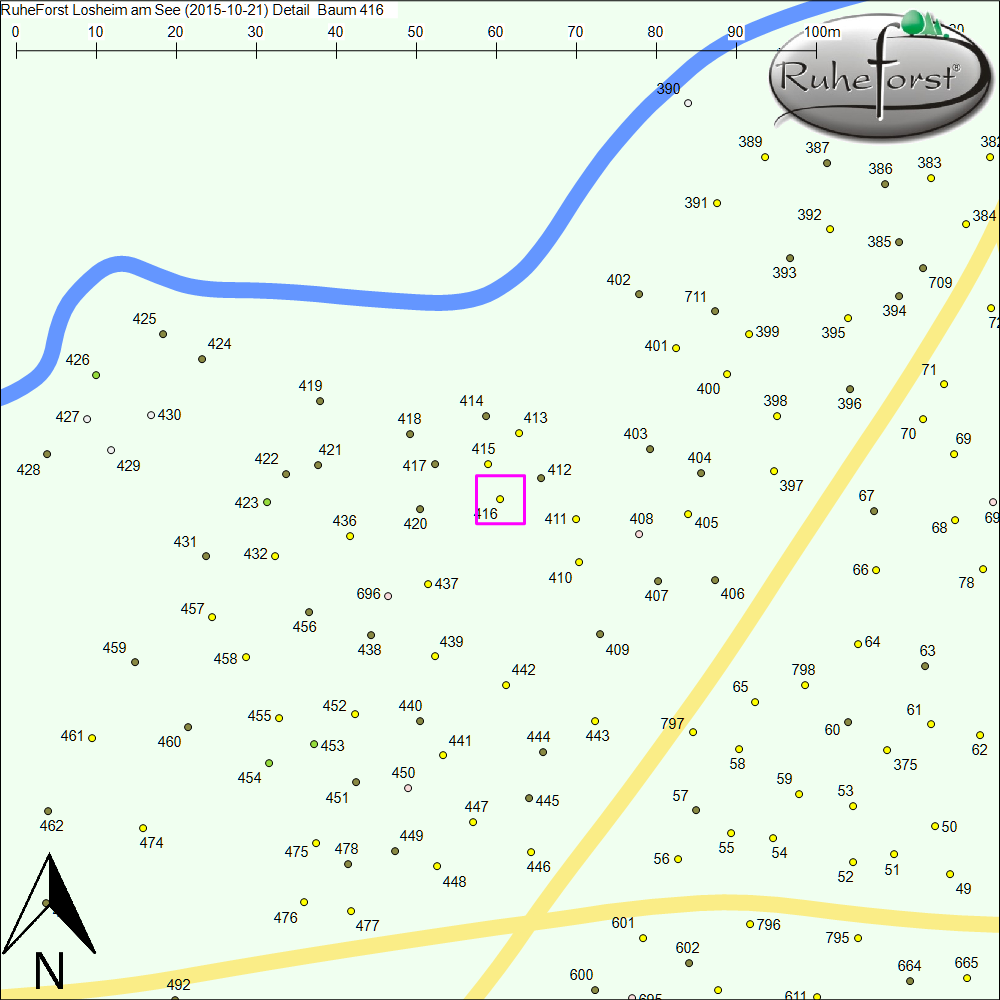 Detailkarte zu Baum 416