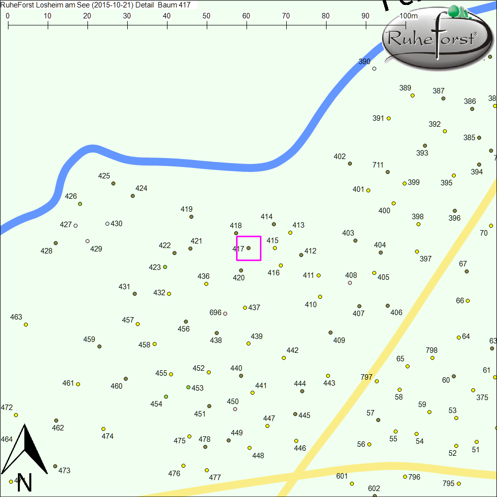 Detailkarte zu Baum 417