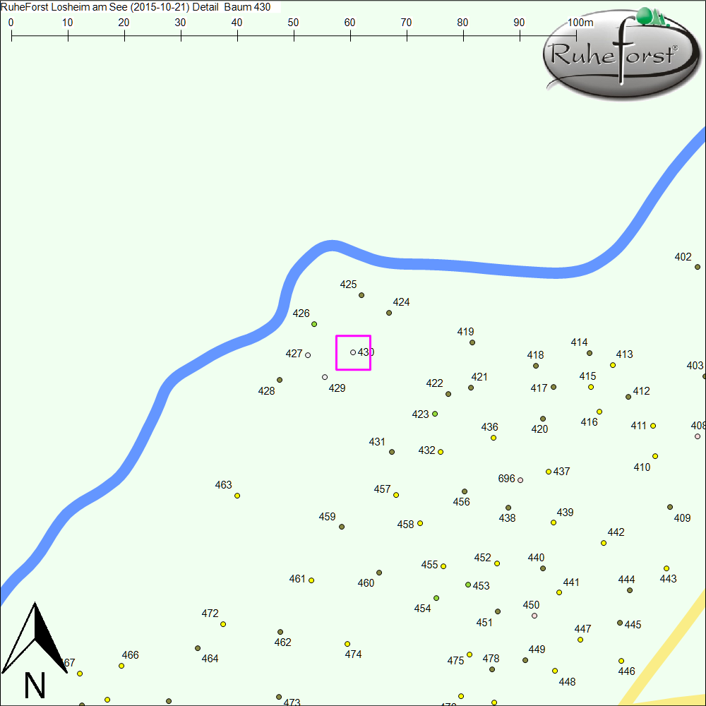 Detailkarte zu Baum 430