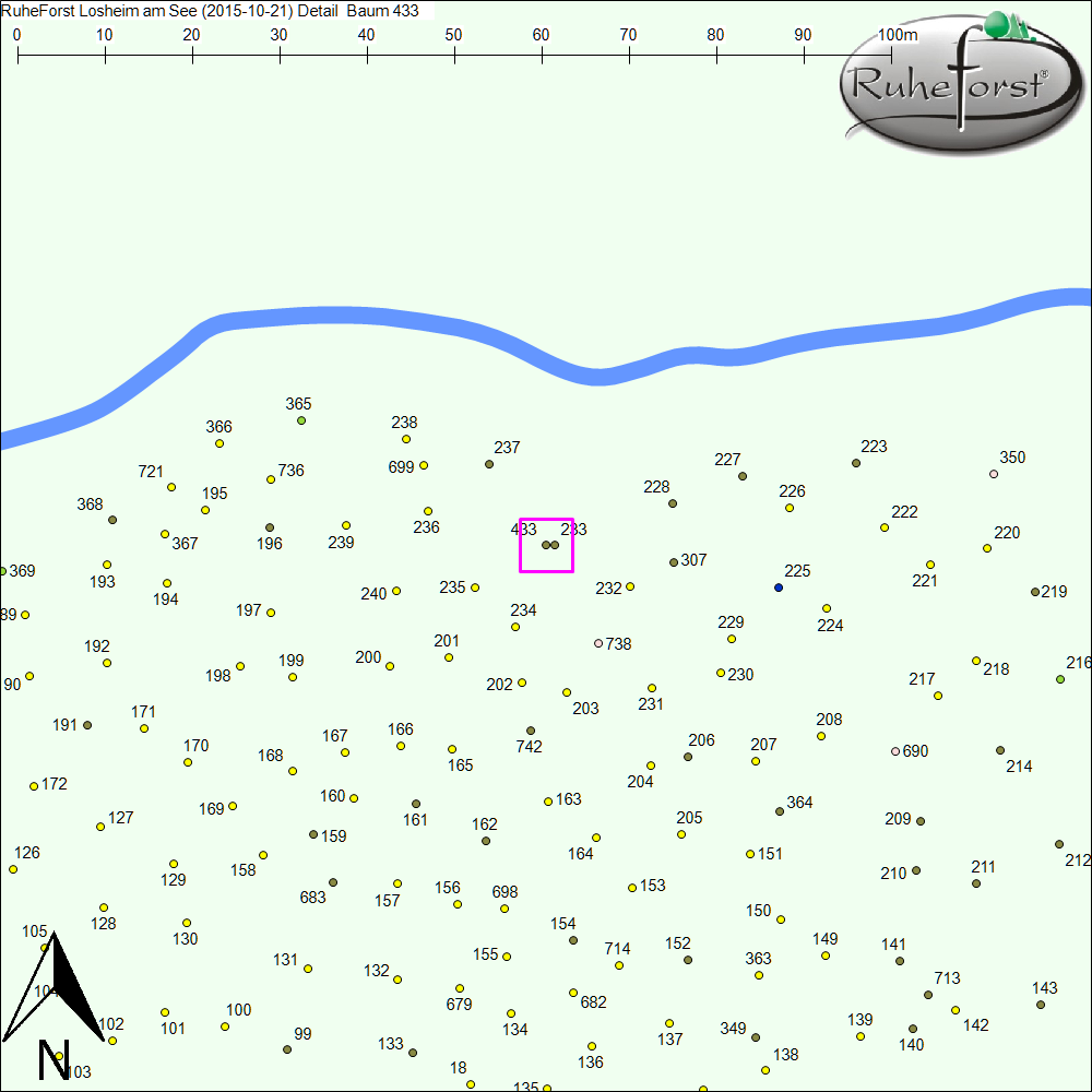 Detailkarte zu Baum 433