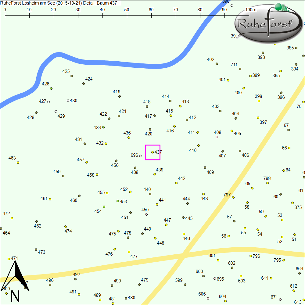Detailkarte zu Baum 437
