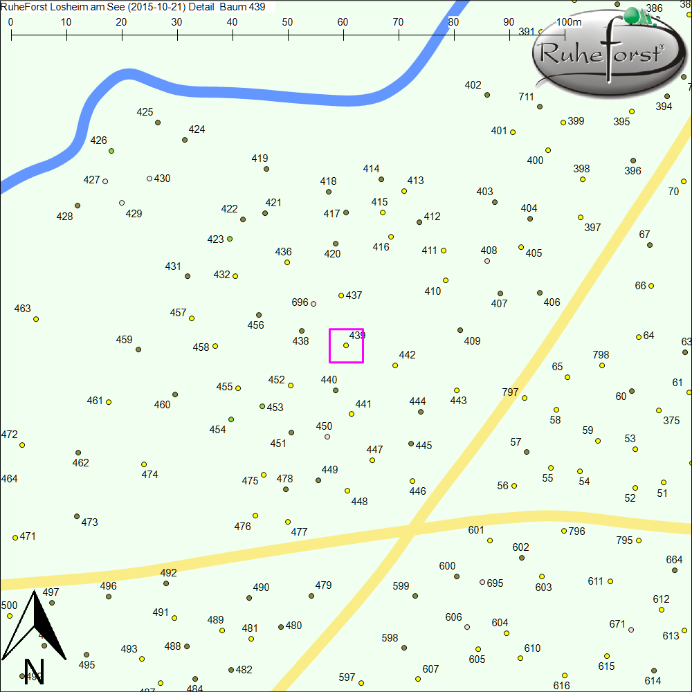 Detailkarte zu Baum 439