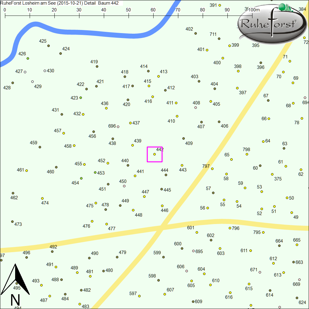 Detailkarte zu Baum 442