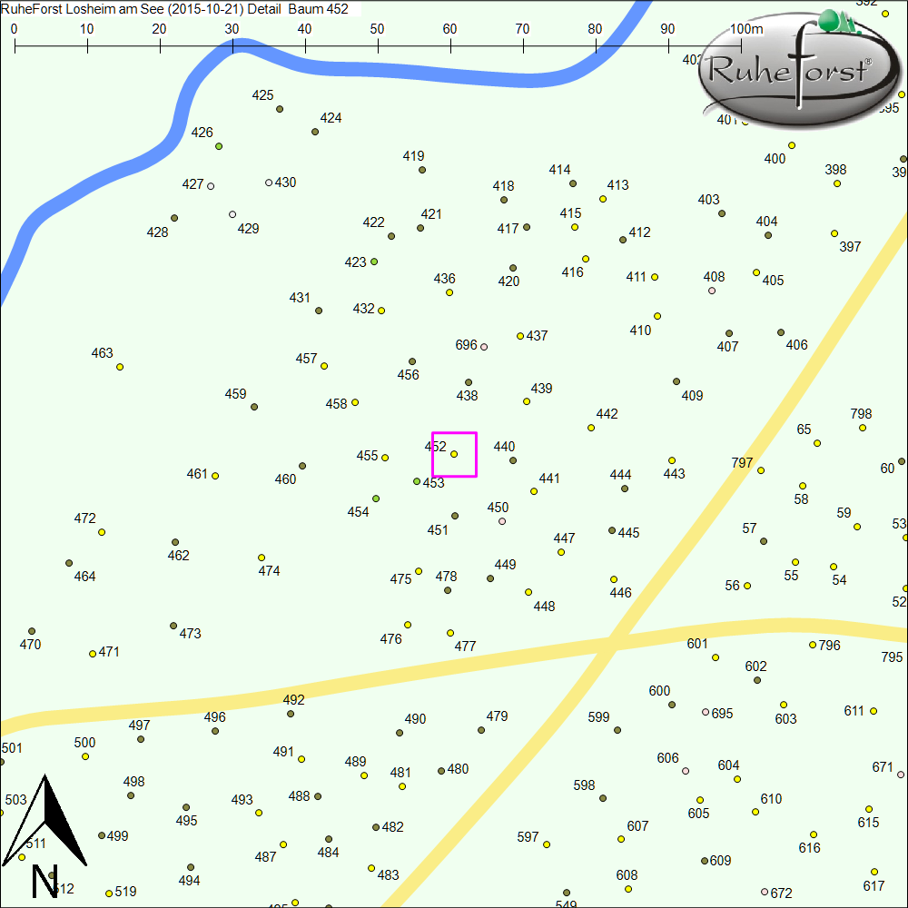 Detailkarte zu Baum 452