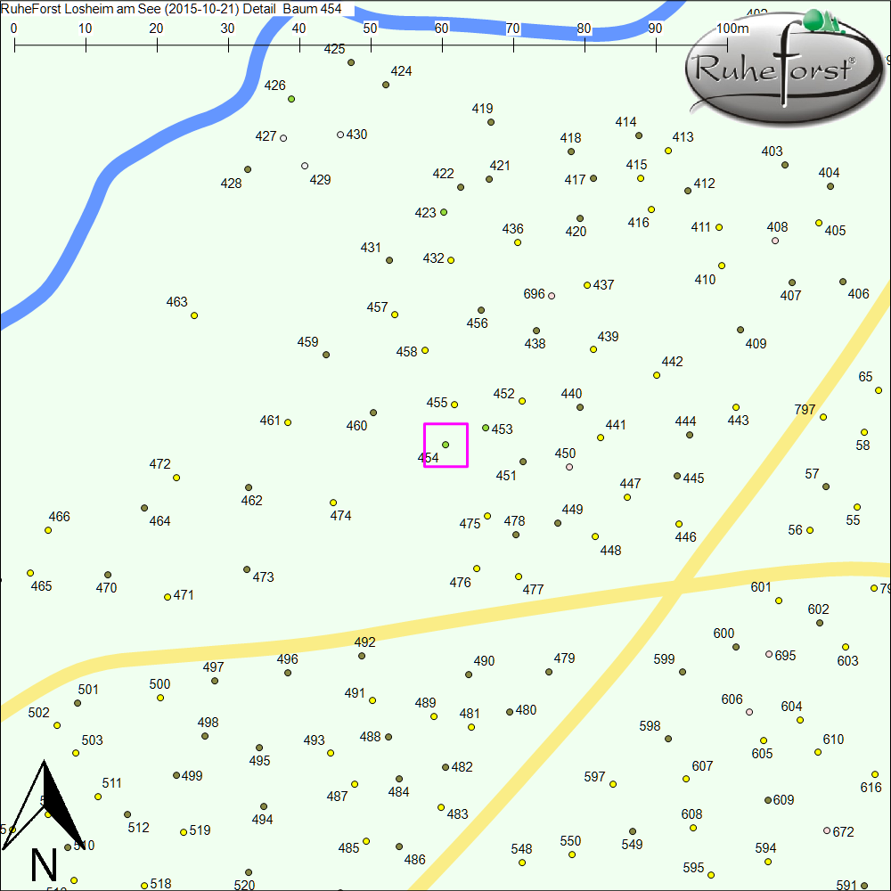 Detailkarte zu Baum 454