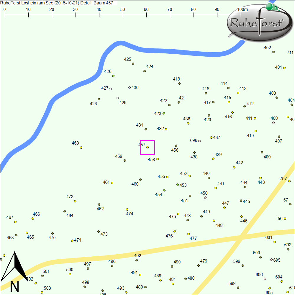 Detailkarte zu Baum 457