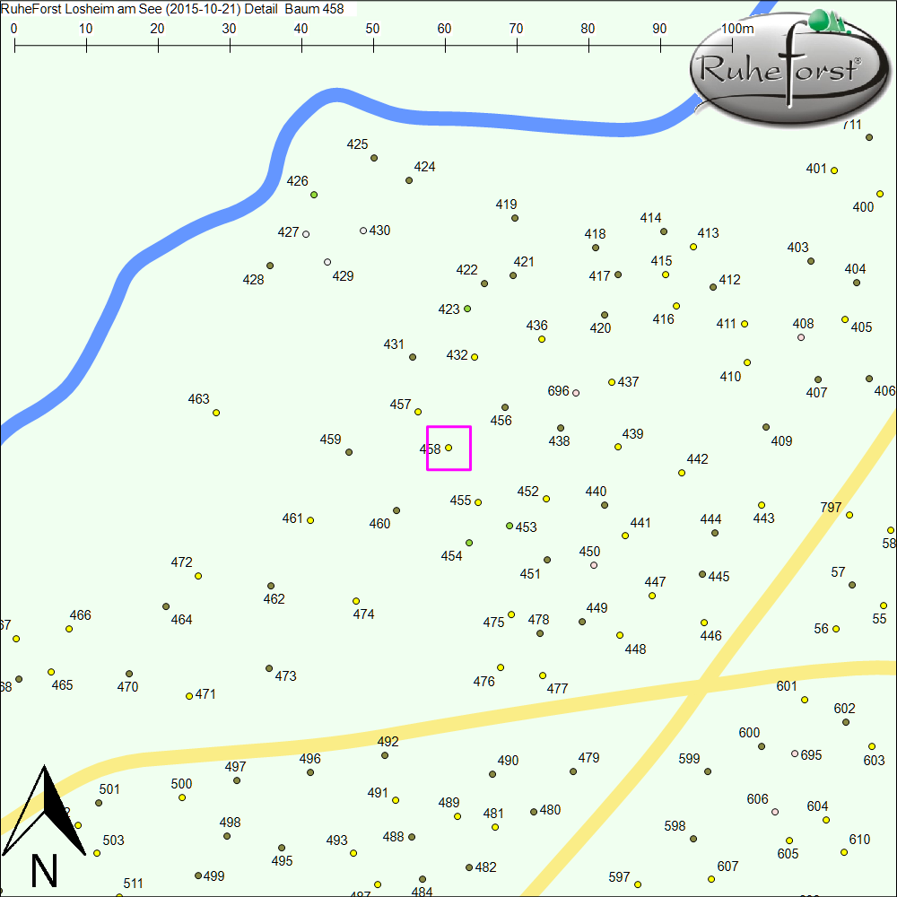 Detailkarte zu Baum 458