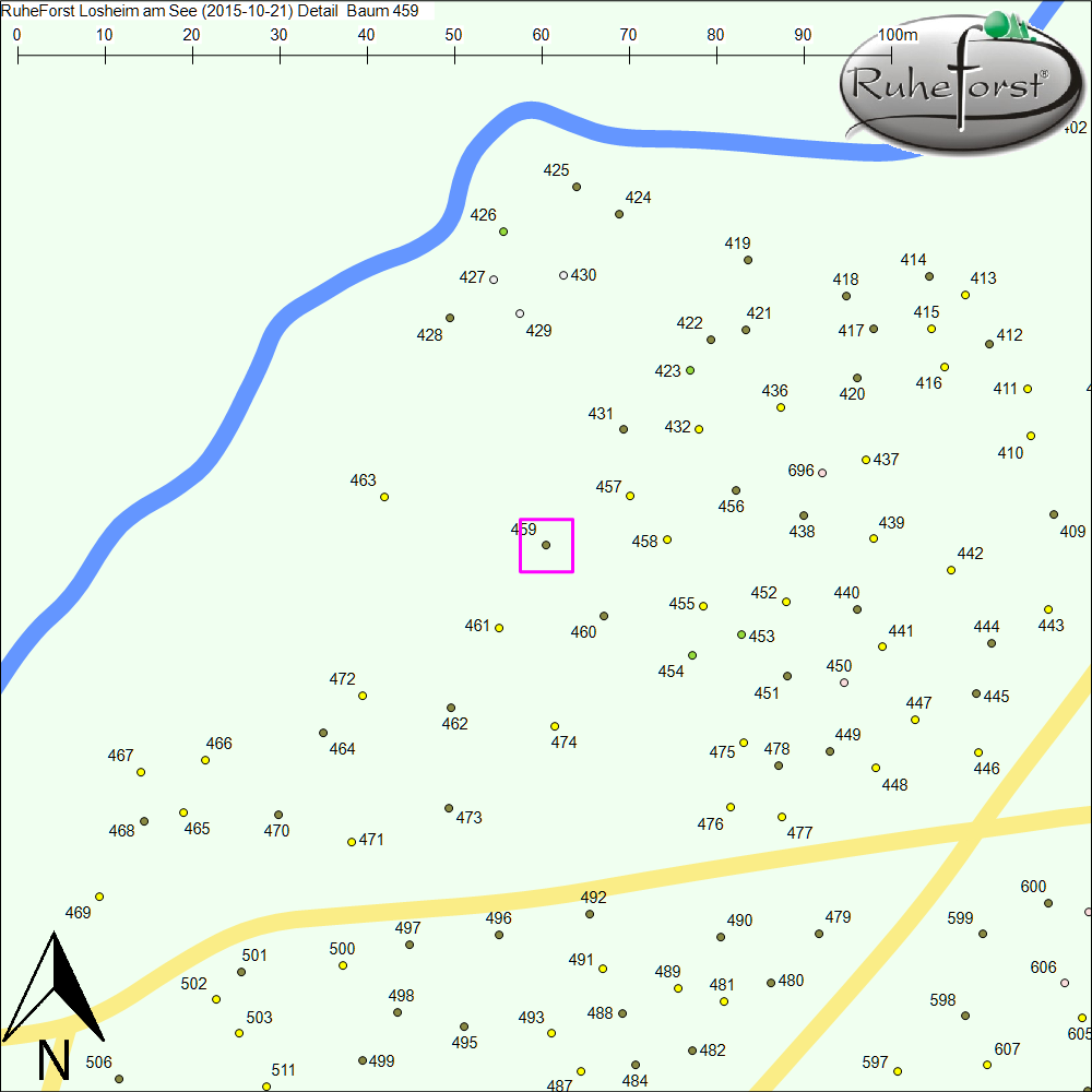 Detailkarte zu Baum 459