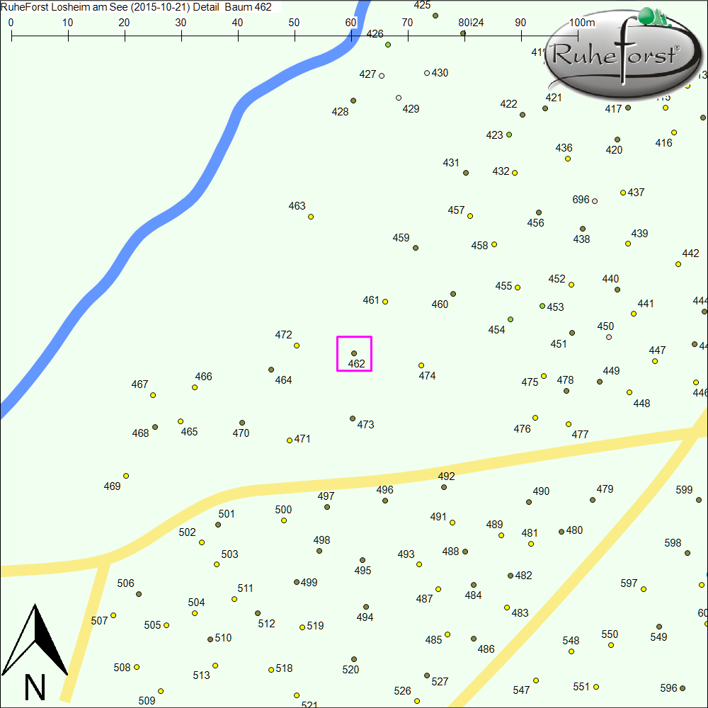 Detailkarte zu Baum 462