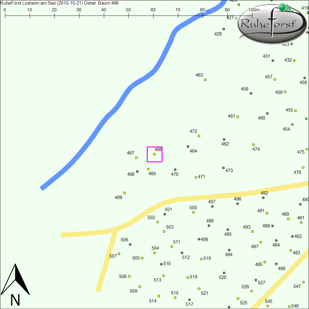 Detailkarte zu Baum 466