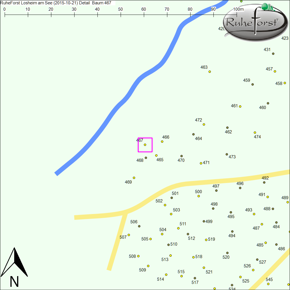 Detailkarte zu Baum 467
