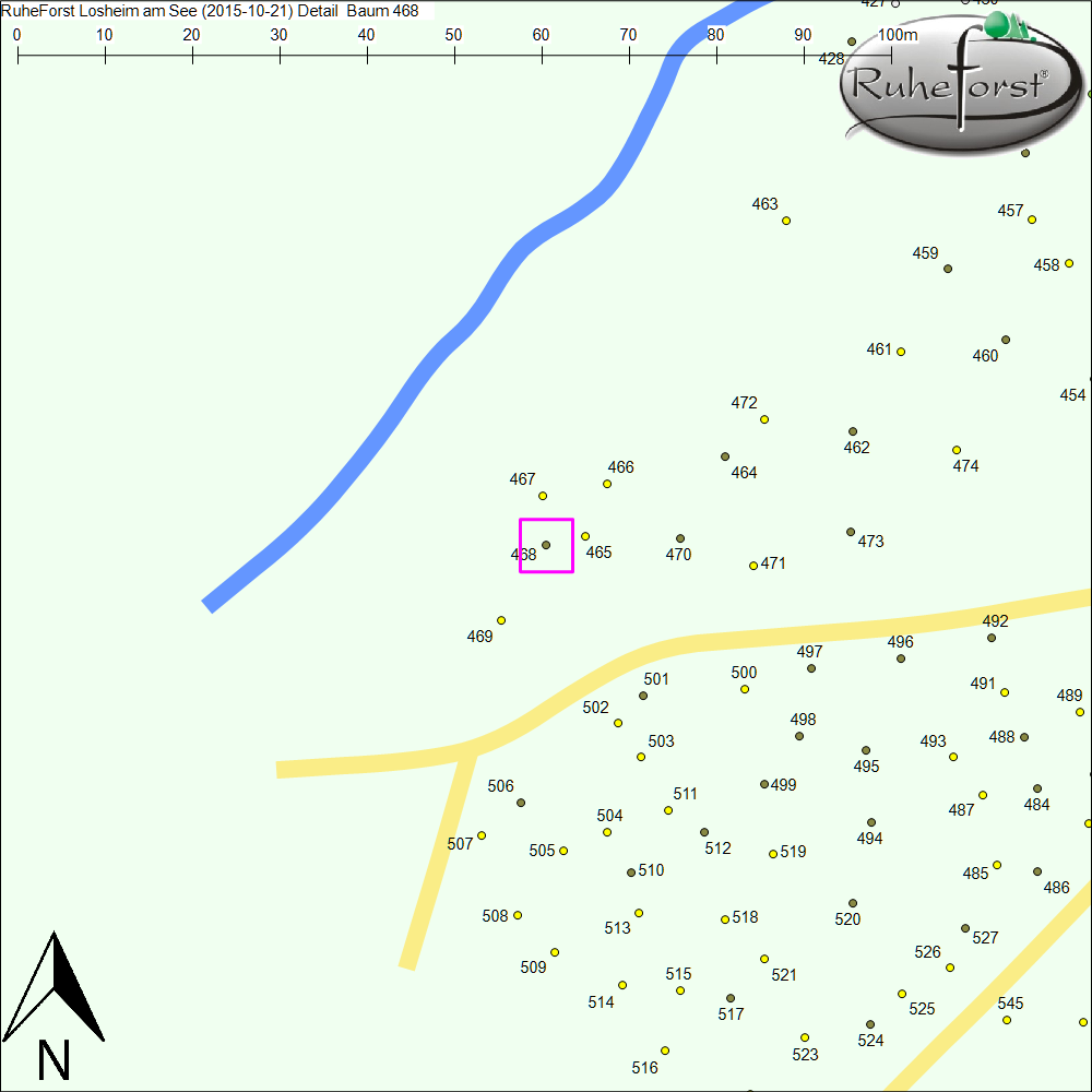 Detailkarte zu Baum 468