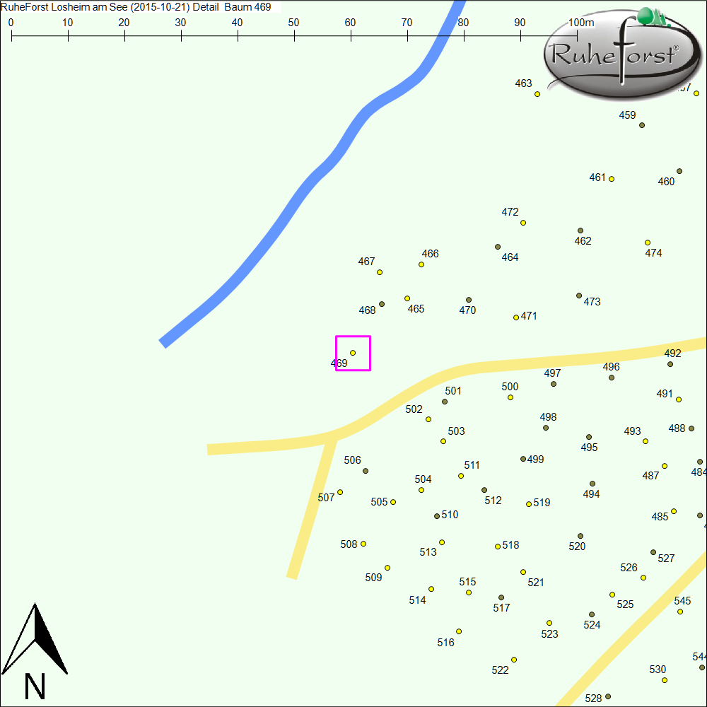 Detailkarte zu Baum 469
