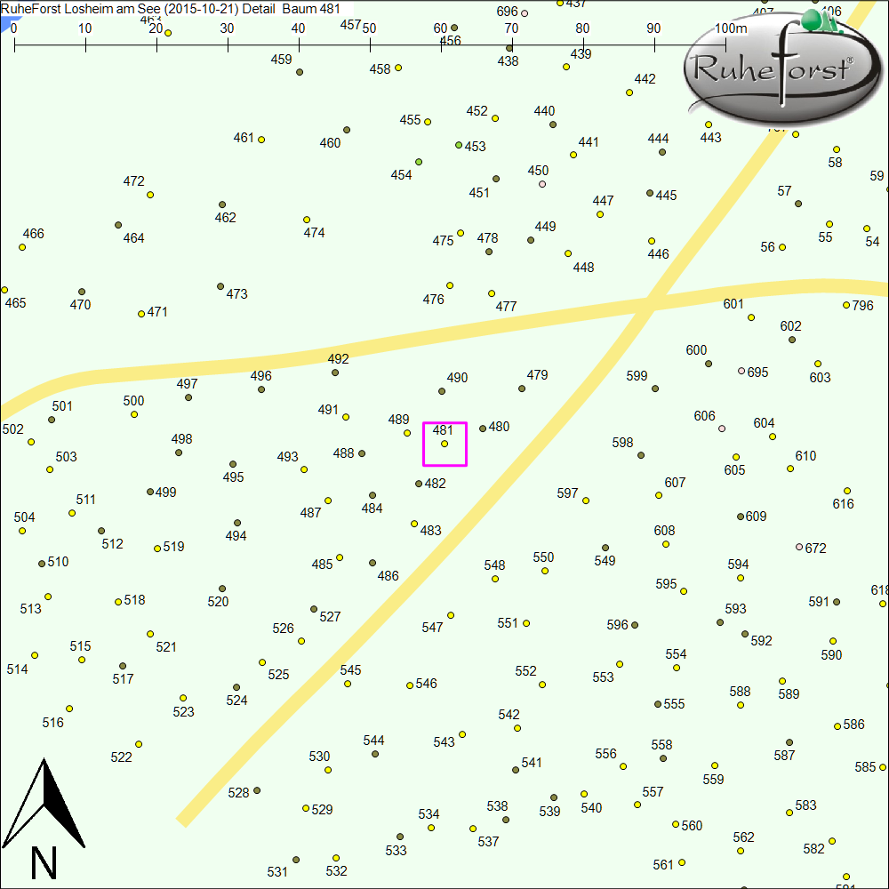 Detailkarte zu Baum 481