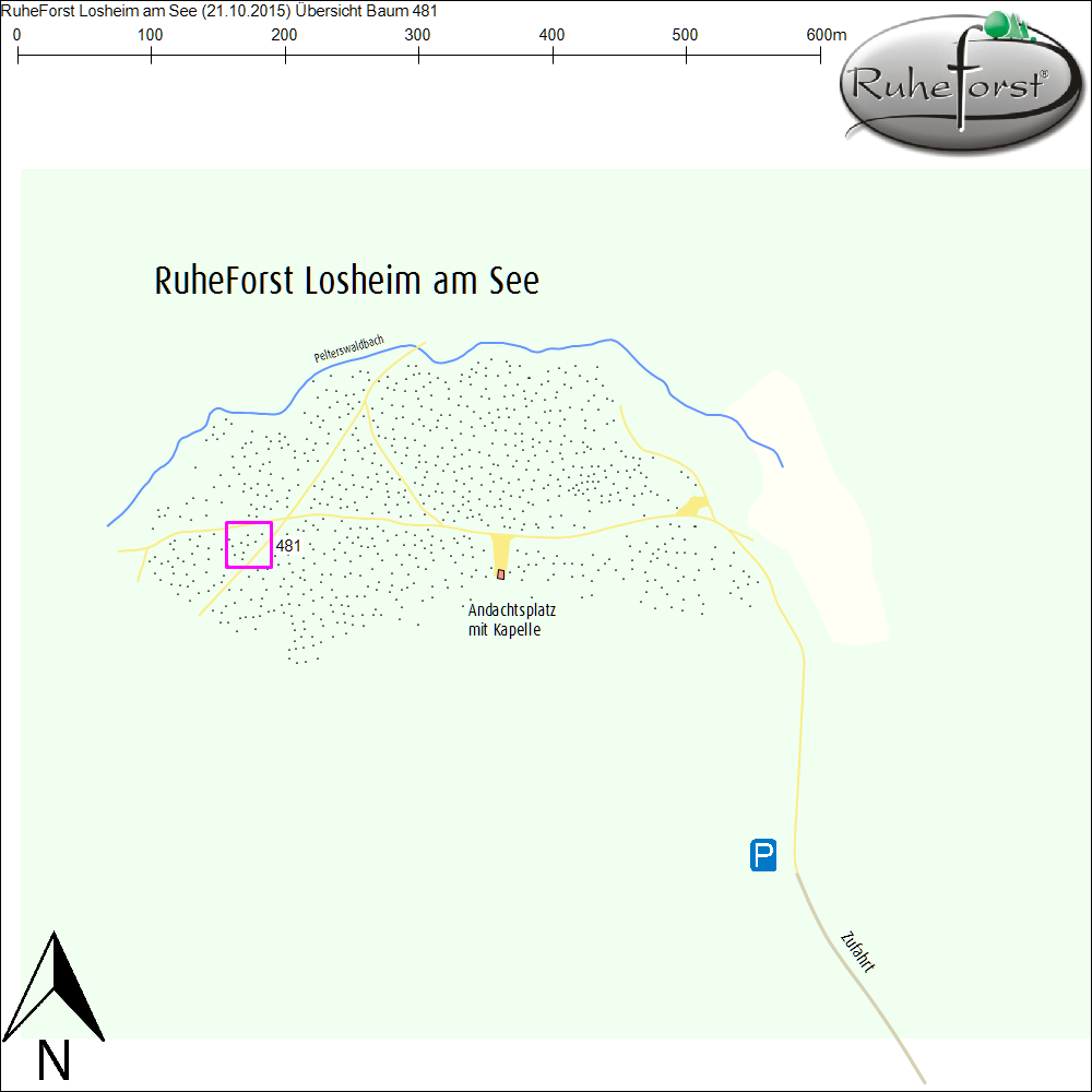 Übersichtskarte zu Baum 481