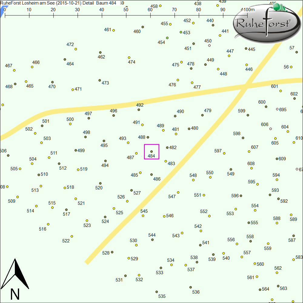 Detailkarte zu Baum 484