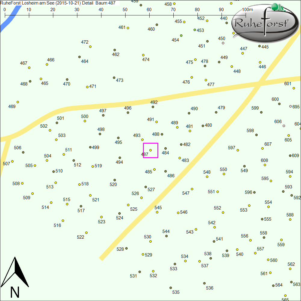 Detailkarte zu Baum 487