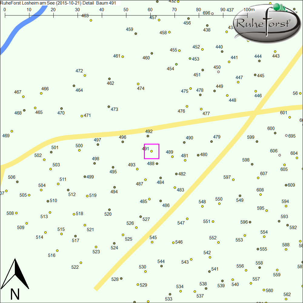 Detailkarte zu Baum 491