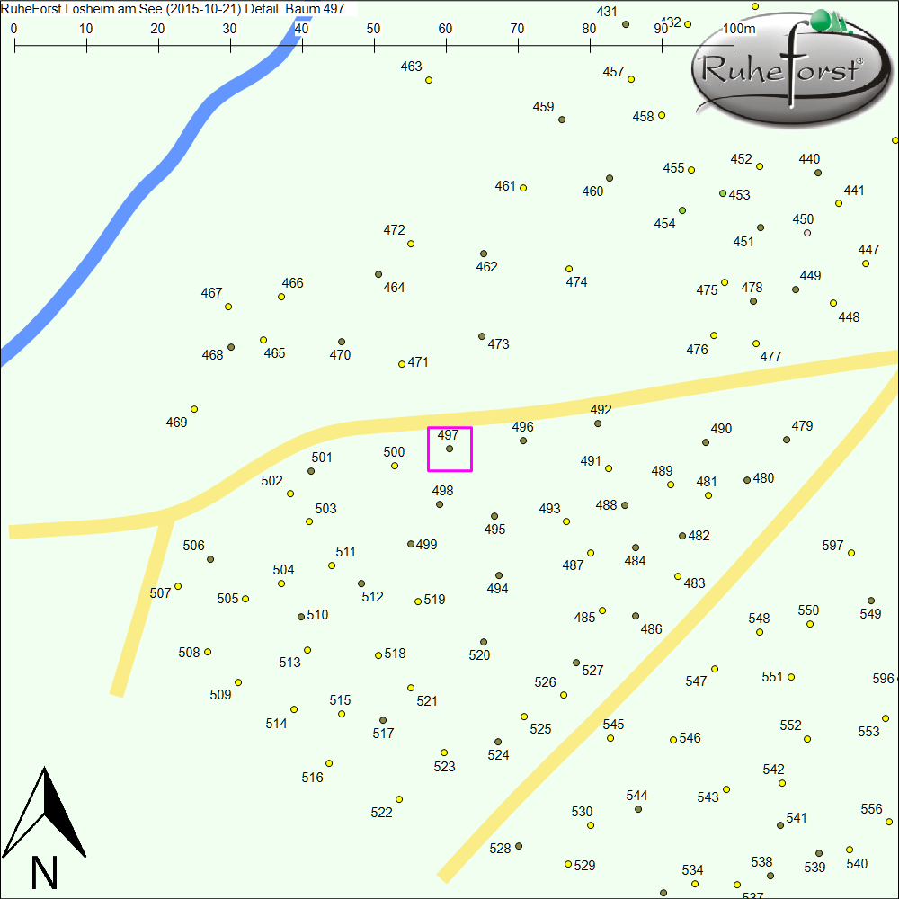Detailkarte zu Baum 497