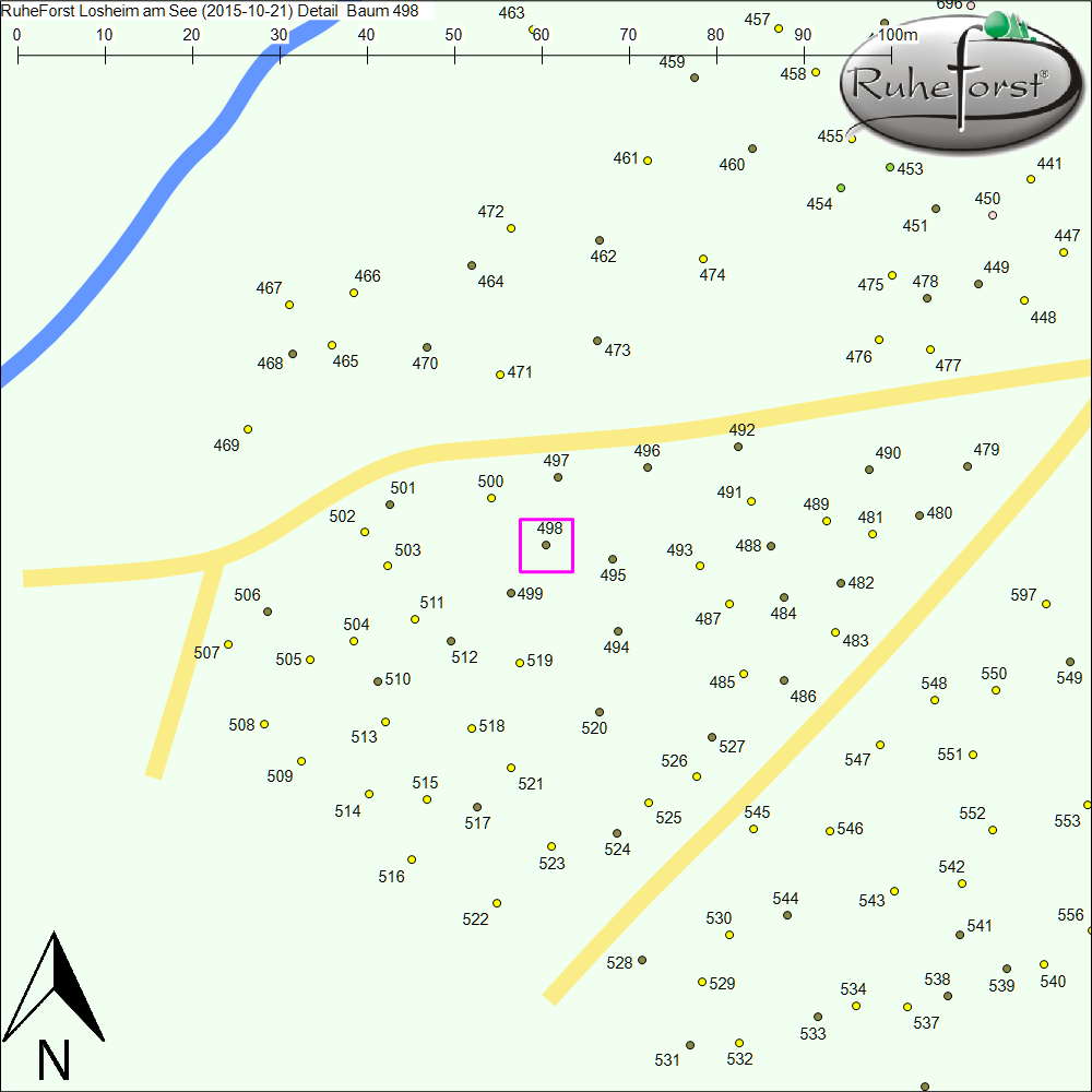 Detailkarte zu Baum 498