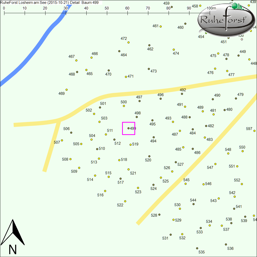 Detailkarte zu Baum 499