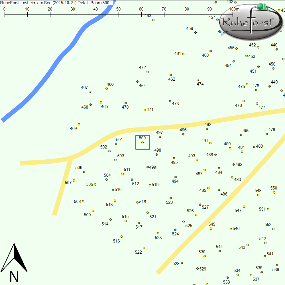Detailkarte zu Baum 500
