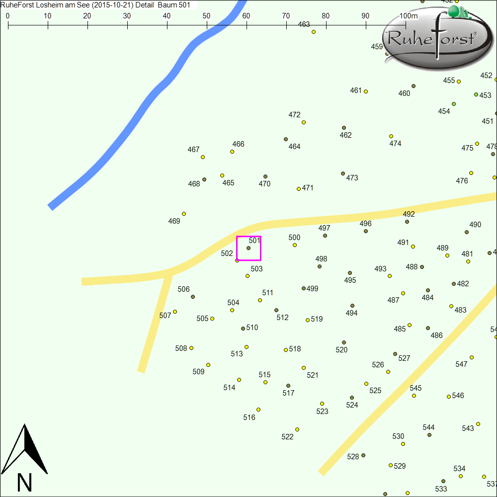 Detailkarte zu Baum 501
