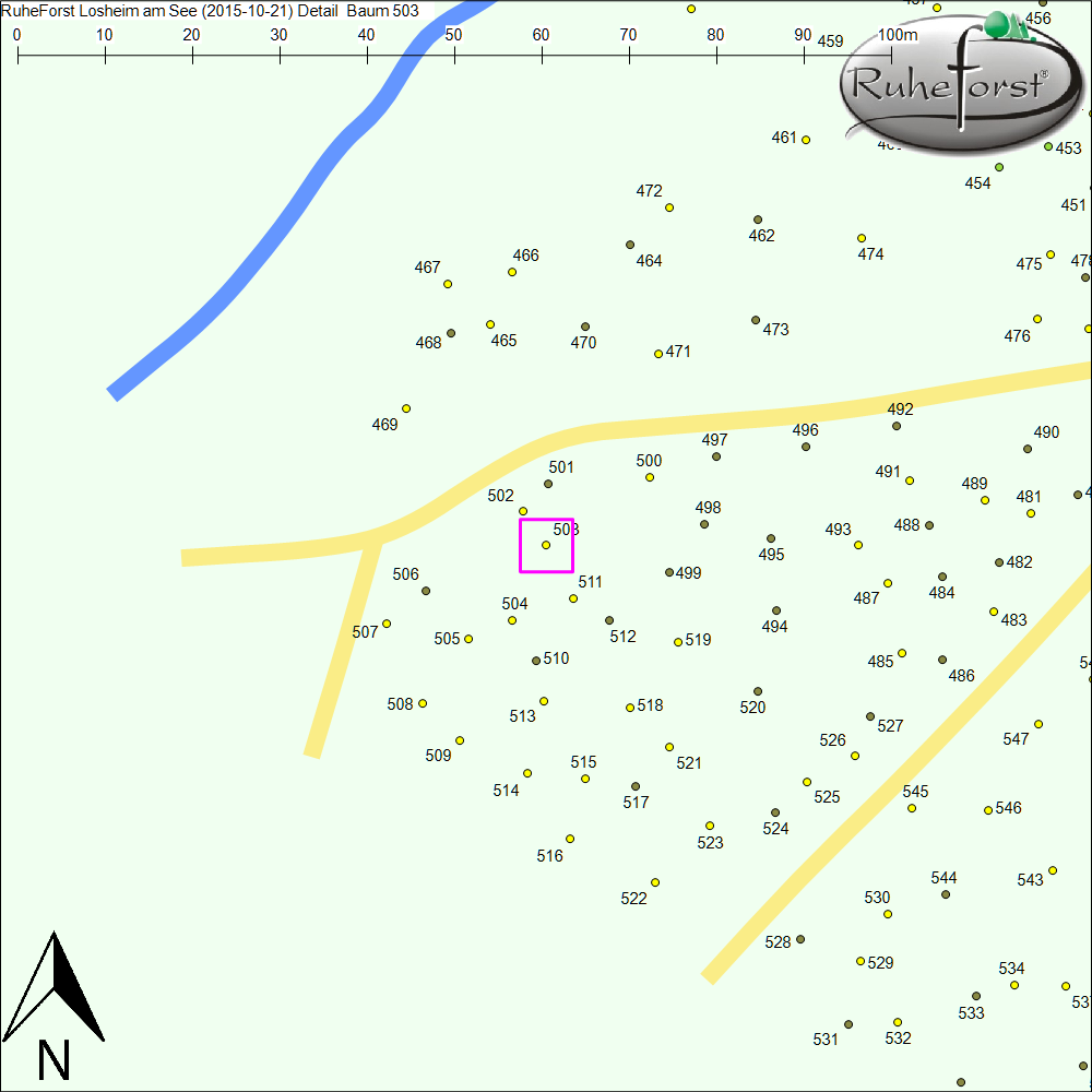 Detailkarte zu Baum 503