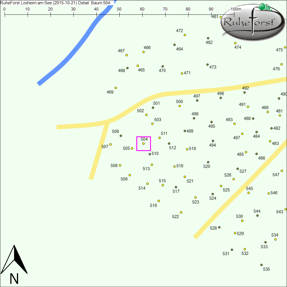 Detailkarte zu Baum 504