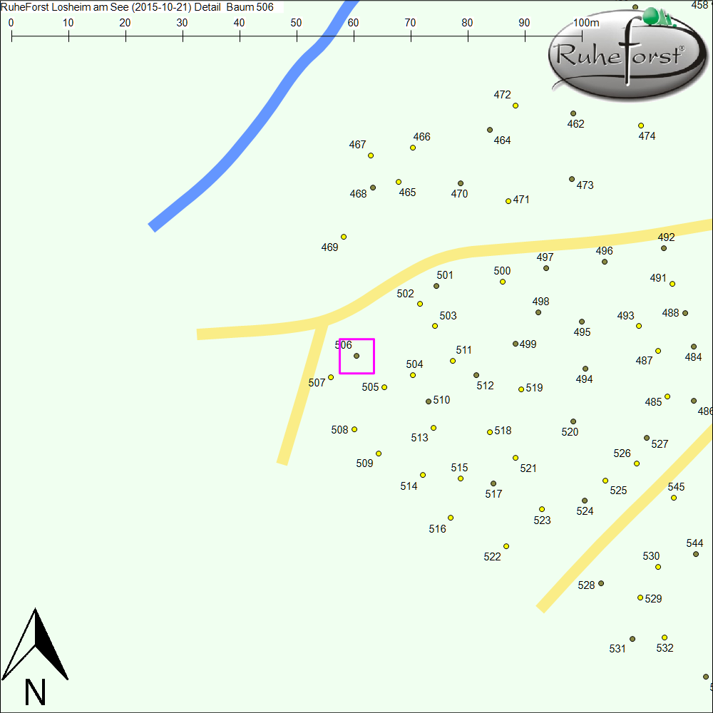 Detailkarte zu Baum 506