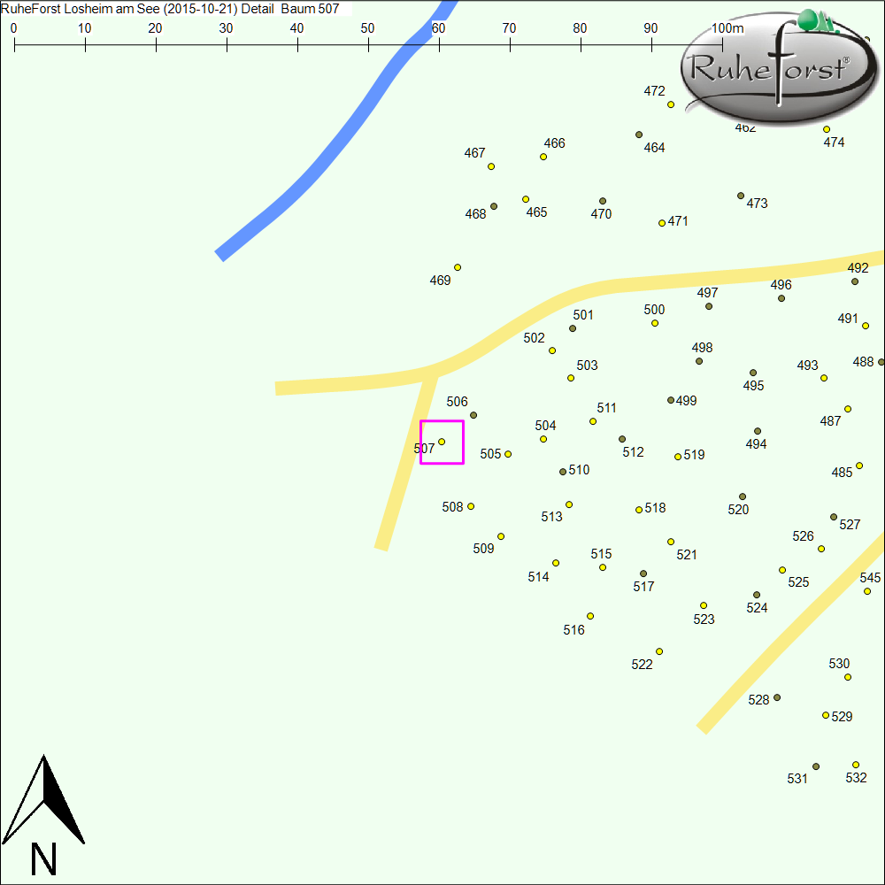 Detailkarte zu Baum 507