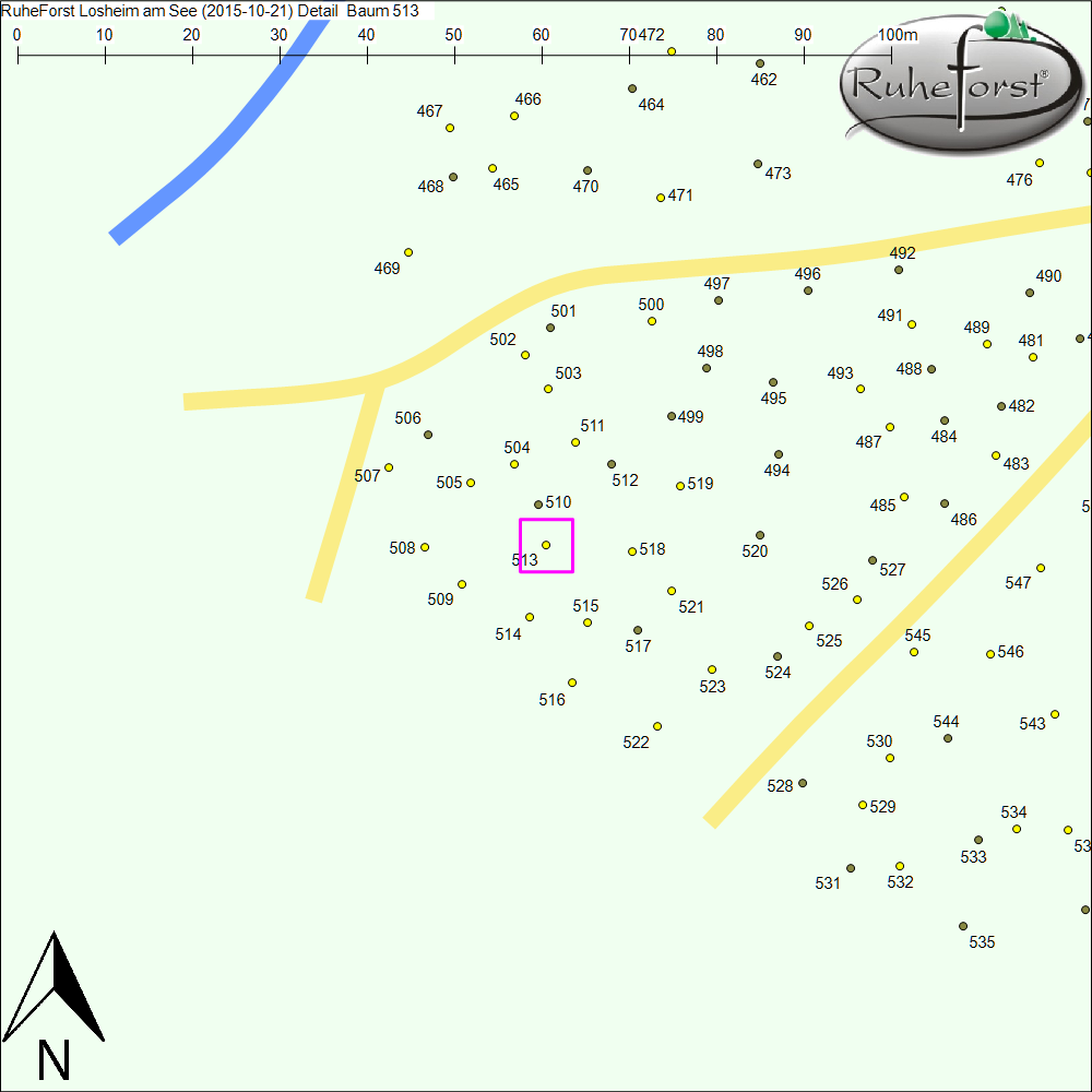 Detailkarte zu Baum 513