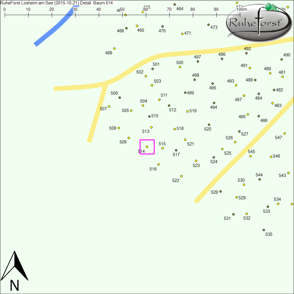 Detailkarte zu Baum 514