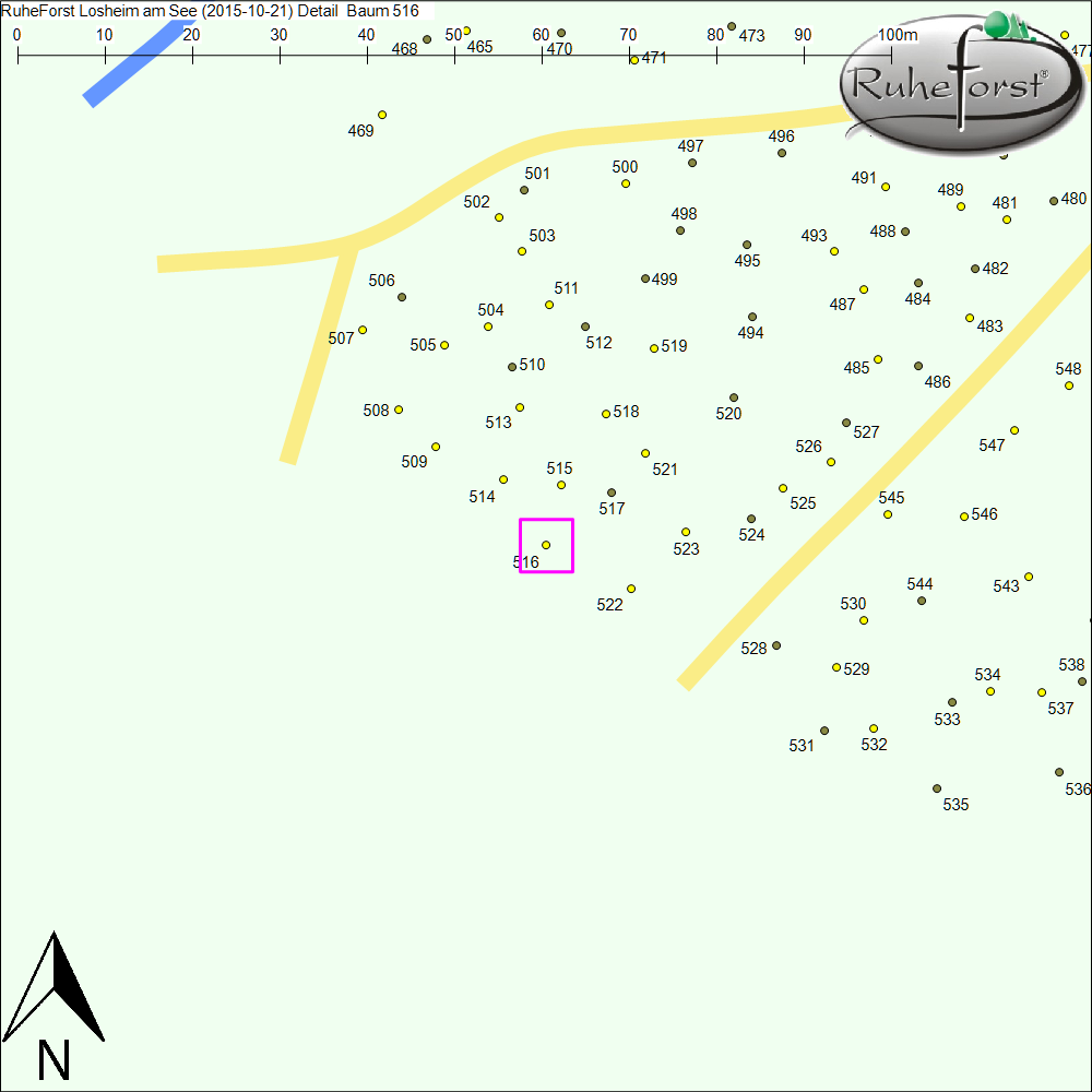 Detailkarte zu Baum 516