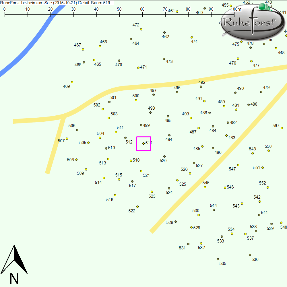Detailkarte zu Baum 519
