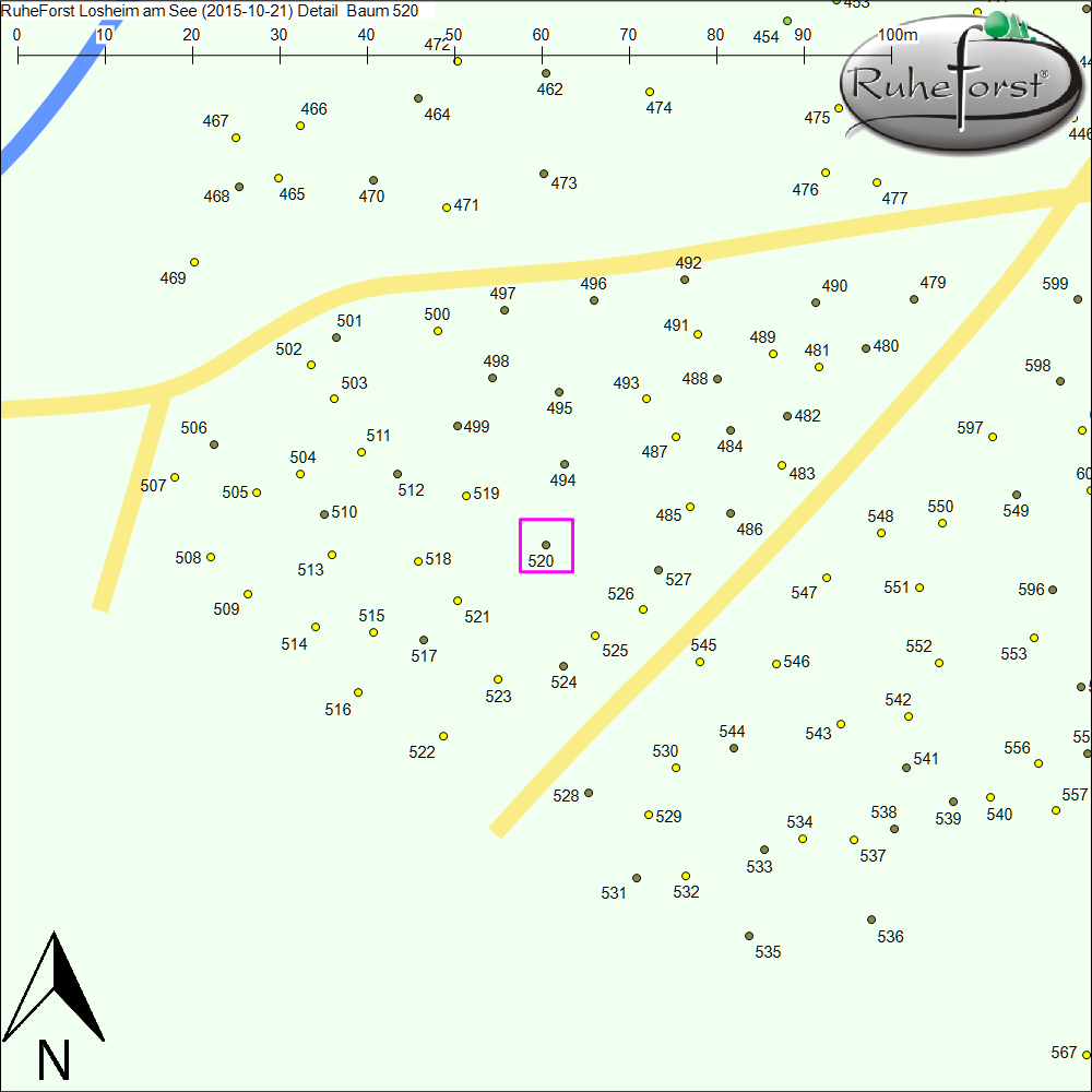 Detailkarte zu Baum 520