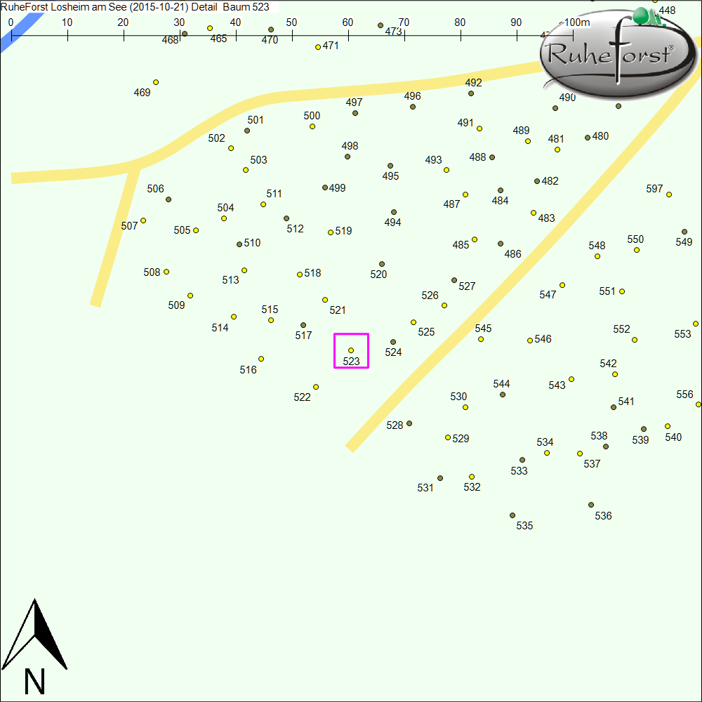 Detailkarte zu Baum 523