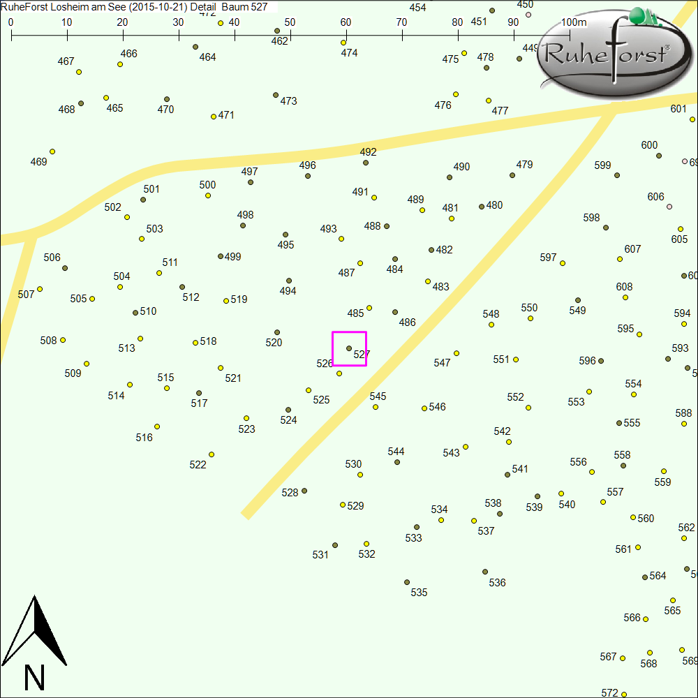 Detailkarte zu Baum 527