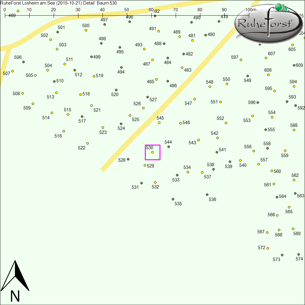 Detailkarte zu Baum 530