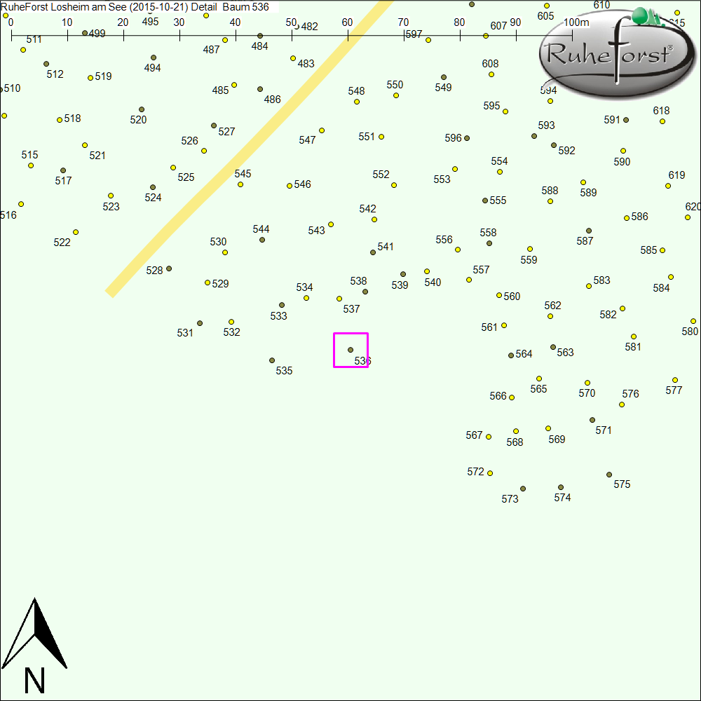 Detailkarte zu Baum 536