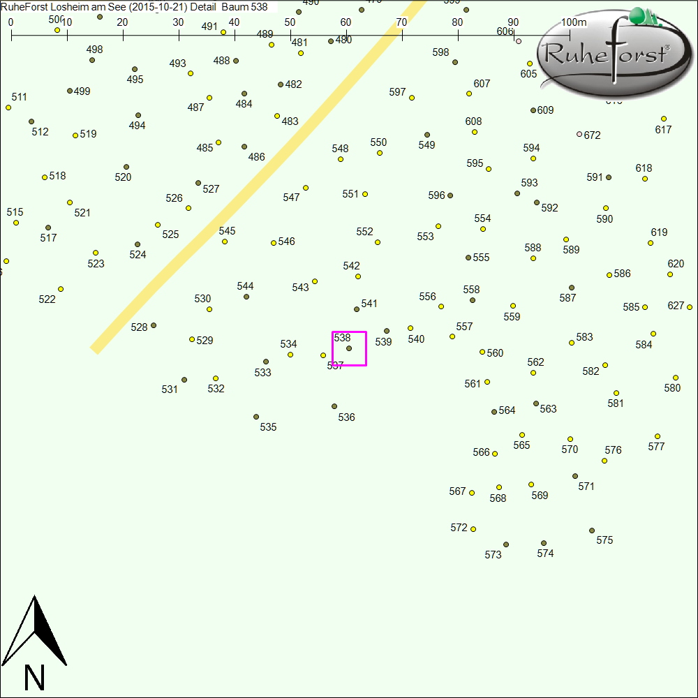 Detailkarte zu Baum 538
