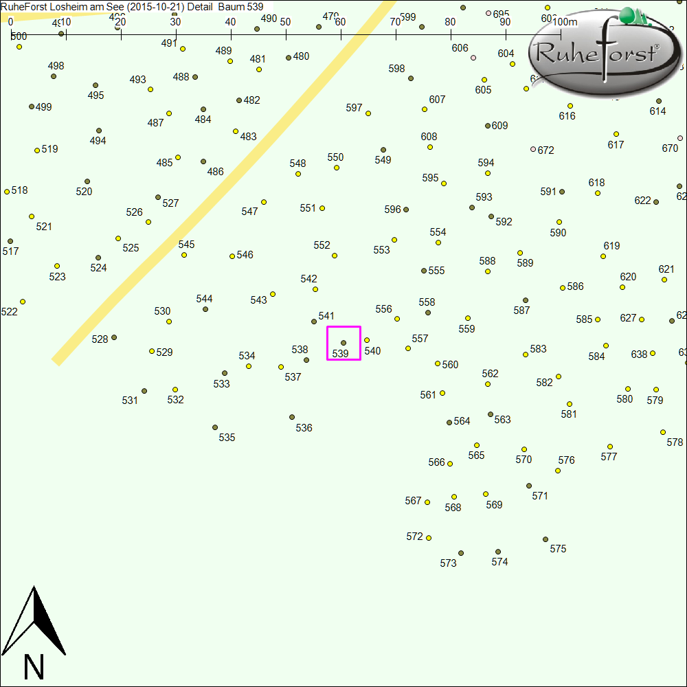 Detailkarte zu Baum 539