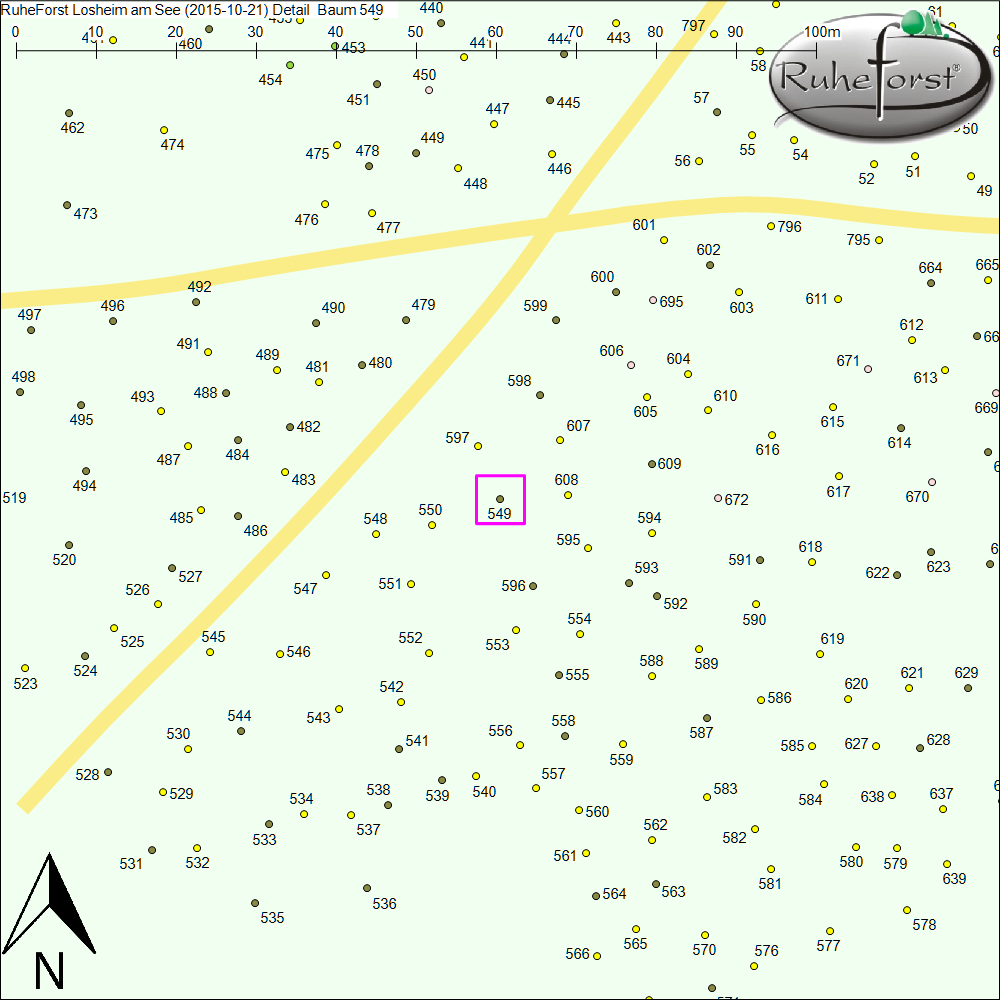 Detailkarte zu Baum 549