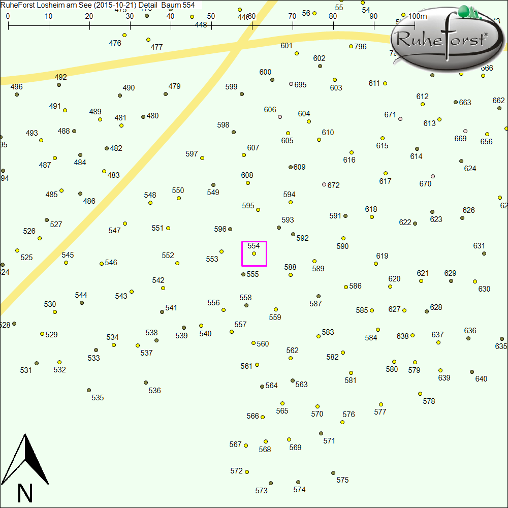 Detailkarte zu Baum 554