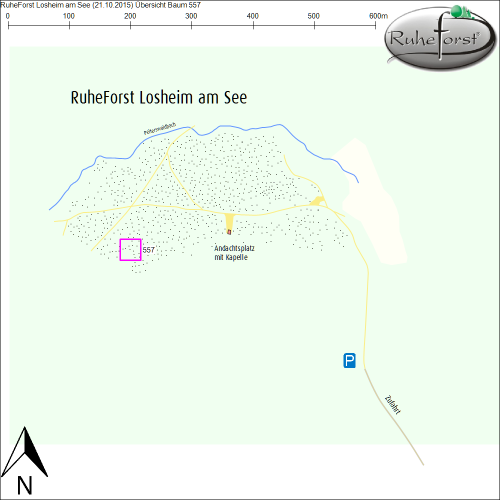 Übersichtskarte zu Baum 557