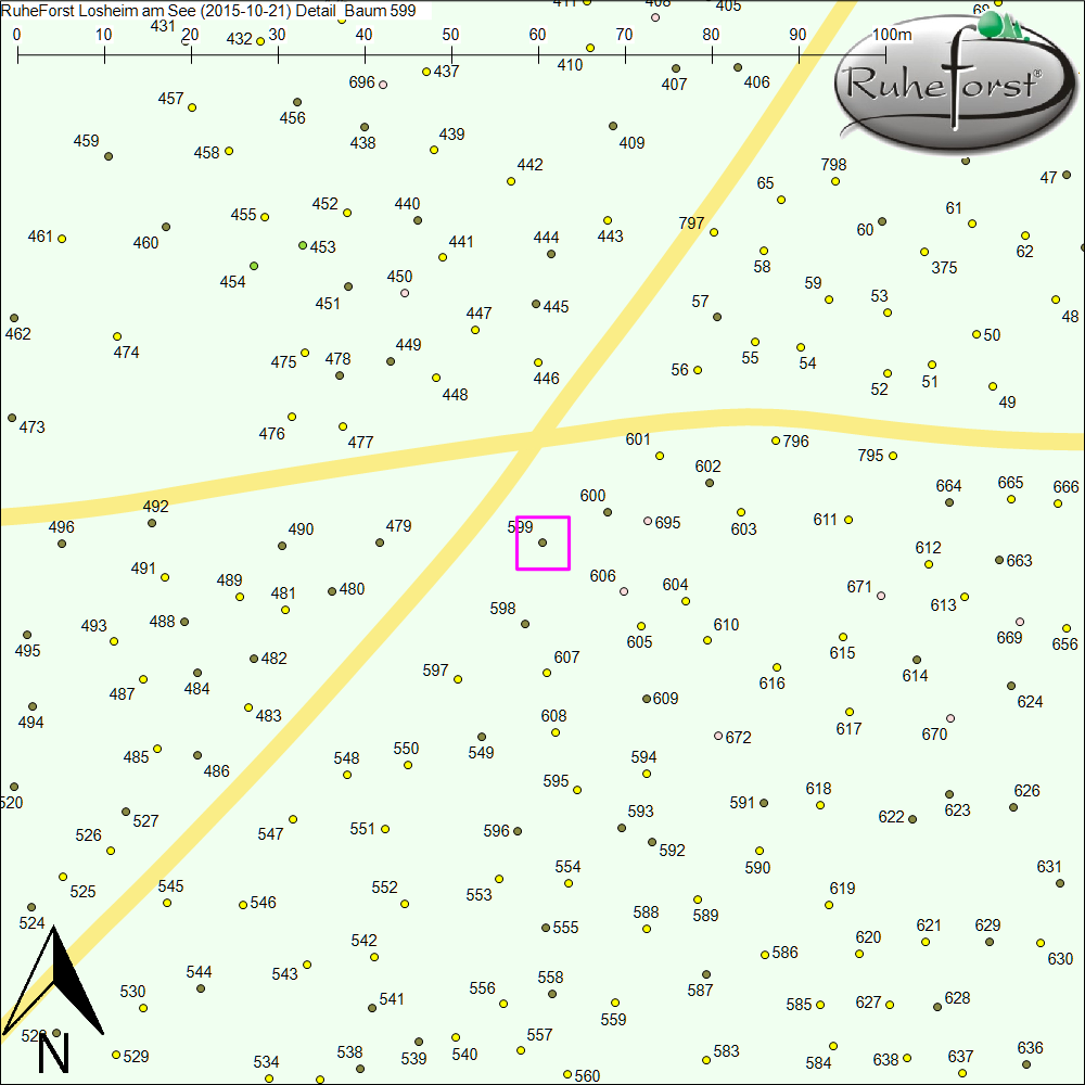 Detailkarte zu Baum 599