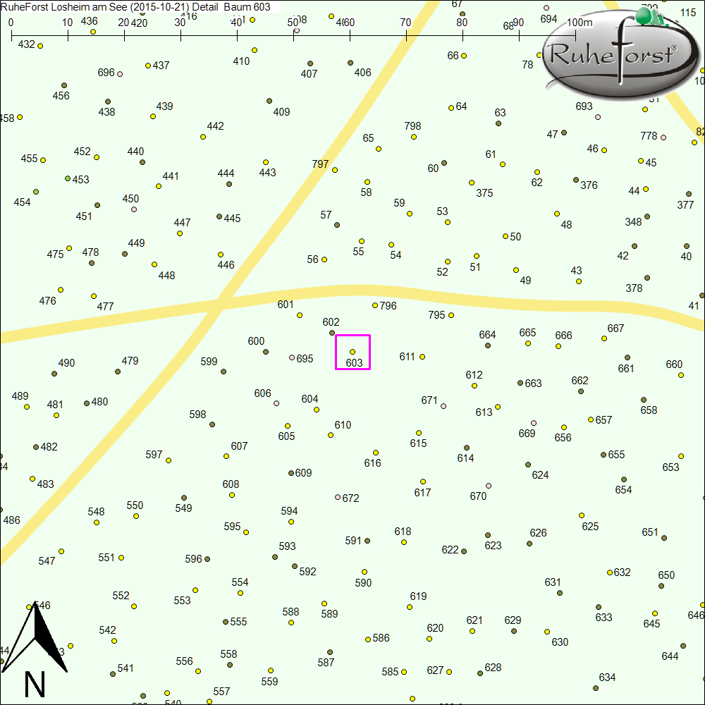 Detailkarte zu Baum 603