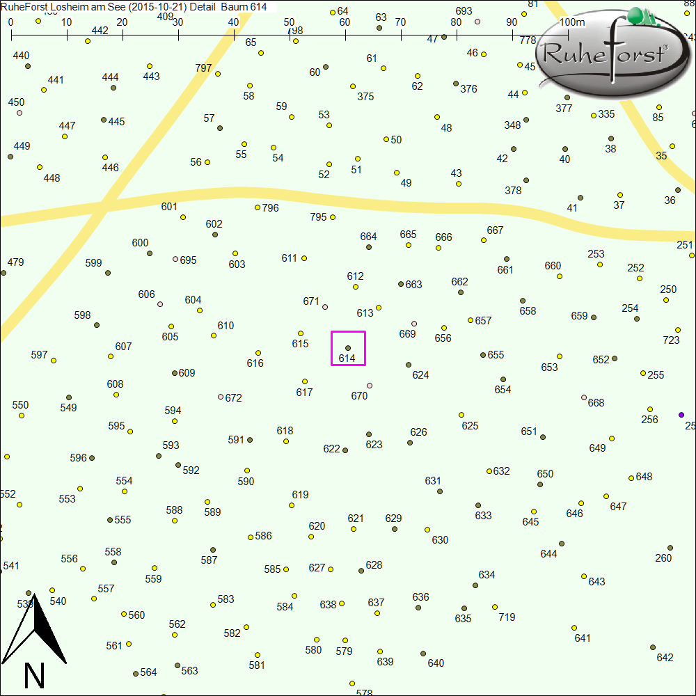 Detailkarte zu Baum 614